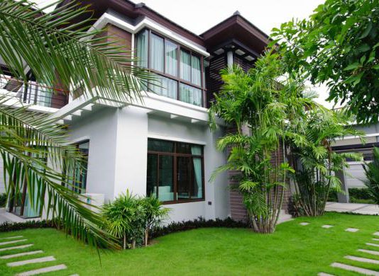 "Bintang Terbang" di Tahun Monyet Api, Apa Pengaruhnya?