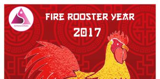 Ramalan Shio Ayam Api Tahun 2017