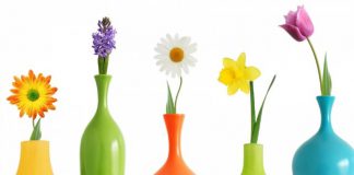 Berbagai Jenis Vas Bunga untuk Menghias Bunga