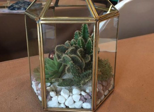 Terrarium Bakal "Ngetren" Tahun 2017