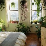 hipwee-indoorplant11