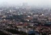 Berikut 6 Kota Paling Hijau di Indonesia