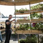 open-source-plans-garden-ikea-growroom-8