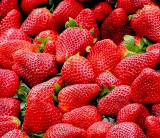 Mengonsumsi 8 Jenis Makanan Ini Dapat Menjaga Kesehatan Jantung Anda