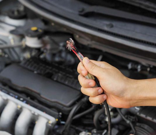 tips mengusir tikus yang bersarang di mesin mobil