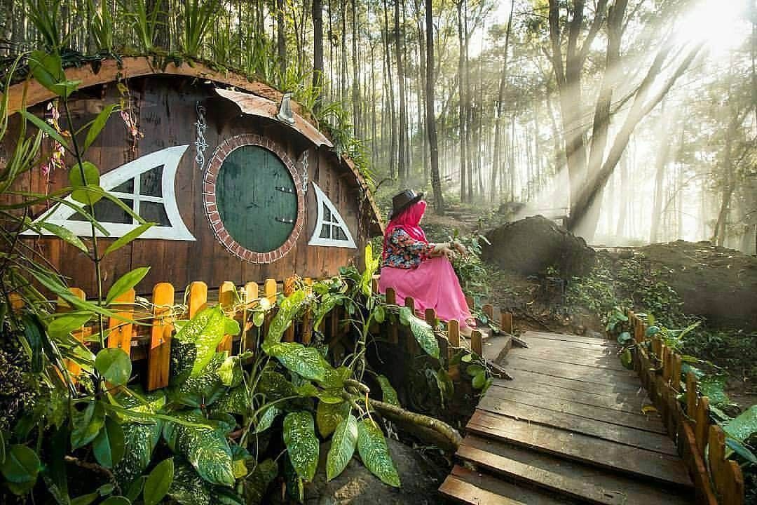 Unik! Begini Penampakan Wisata Rumah Hobbit di Indonesia!