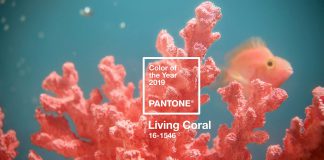 Tren Warna Tahun 2019, Living Coral!