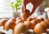 Peralatan Dapur Bersih Hingga Kinclong Dengan Kulit Telur, Emang Bisa?