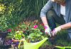 6 Peralatan Berkebun yang Wajib Kamu Miliki