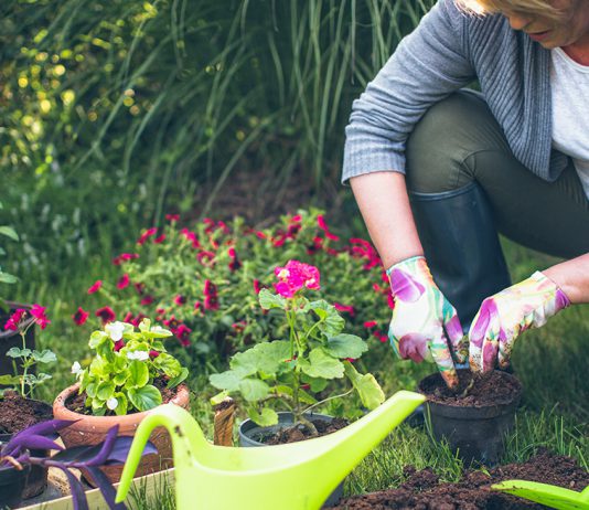 6 Peralatan Berkebun yang Wajib Kamu Miliki