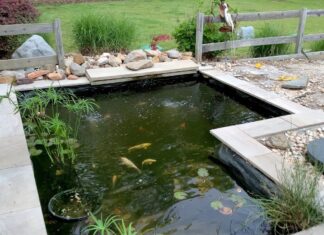 Desain Kolam Ikan Minimalis