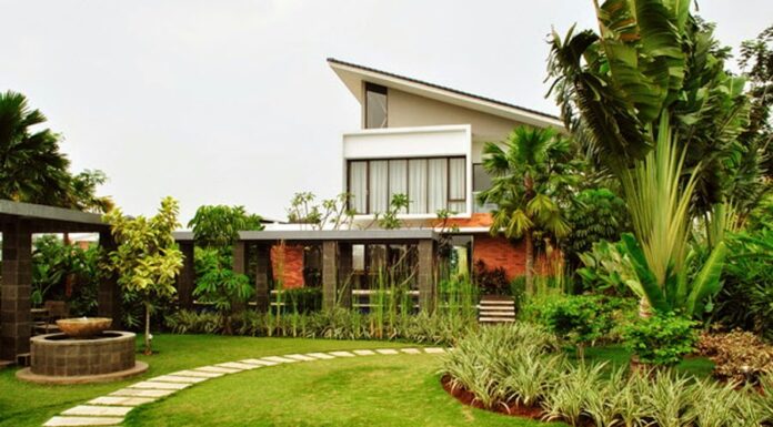Rumah Sehat: Tips Menciptakan Hunian yang Bebas Polusi dan Nyaman