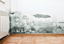 Bahaya Black Mold di Rumah: Cara Mengenali, Mencegah, dan Menanganinya