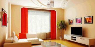Kombinasi Warna Interior yang Bikin Rumah Terlihat Mewah dengan Budget Terbatas